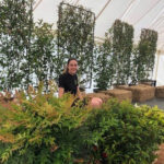 Hanna Maz Big Green Plant centre